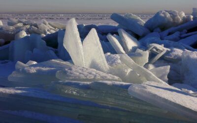 Schuldgefühle – eiskalt erwischt